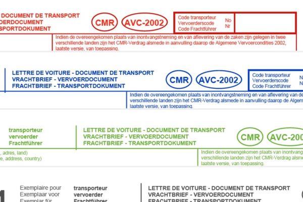 PARA CUANDO DOCUMENTO DE CONTROL Y CMR DIGITAL